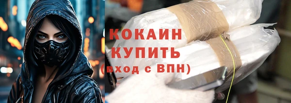винт Липки