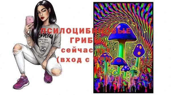 мдпв Лиски