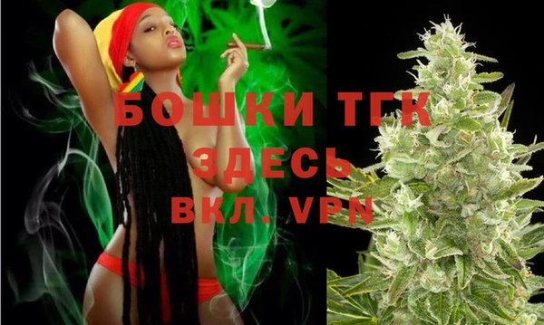 винт Липки