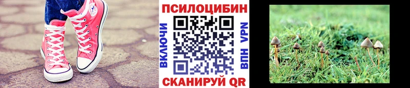 мориарти формула  где найти   Кызыл  Галлюциногенные грибы Magic Shrooms 
