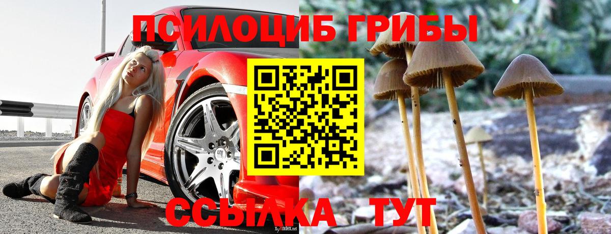 даркнет сайт  Галлюциногенные грибы ЛСД  Кызыл  Галлюциногенные грибы мухоморы 