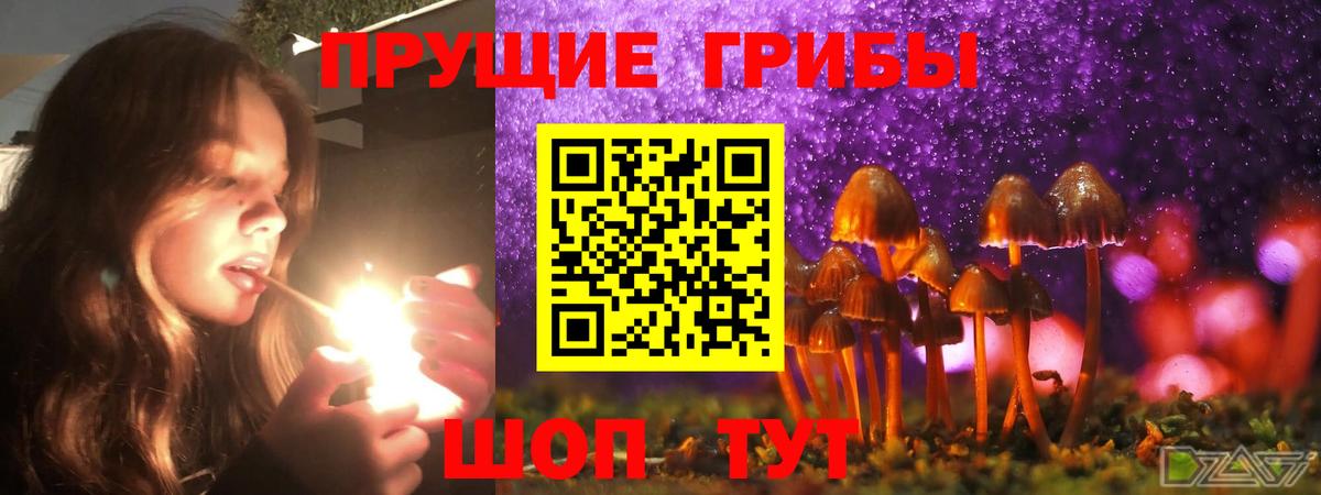 где купить наркотик  Вход с VPN  Кызыл  Псилоцибиновые грибы ЛСД 